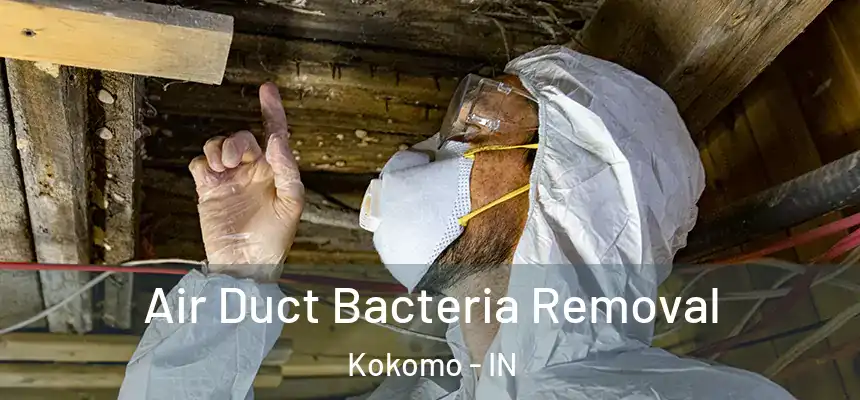 Air Duct Bacteria Removal Kokomo - IN