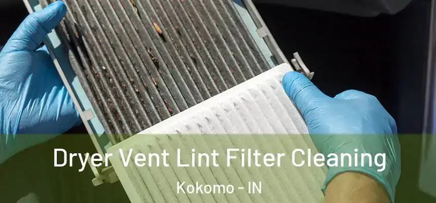  Dryer Vent Lint Filter Cleaning Kokomo - IN