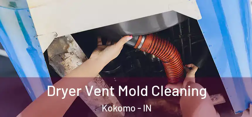  Dryer Vent Mold Cleaning Kokomo - IN