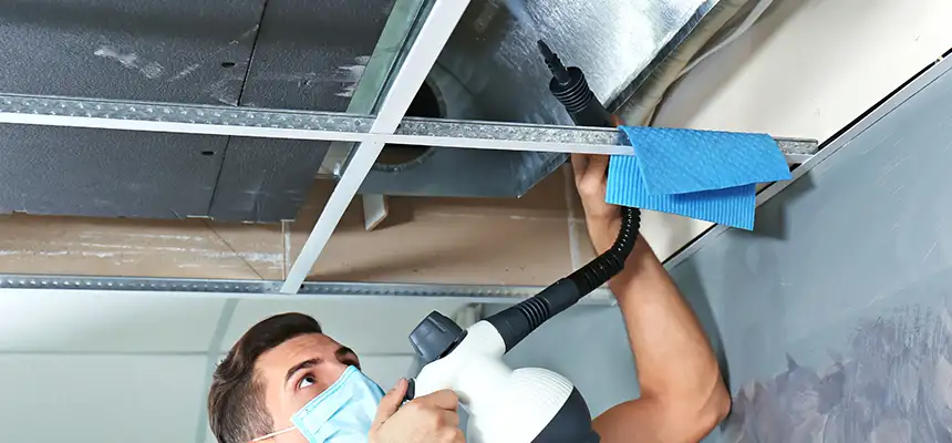 Our Air Duct Rodent Removal Services in Kokomo, IN