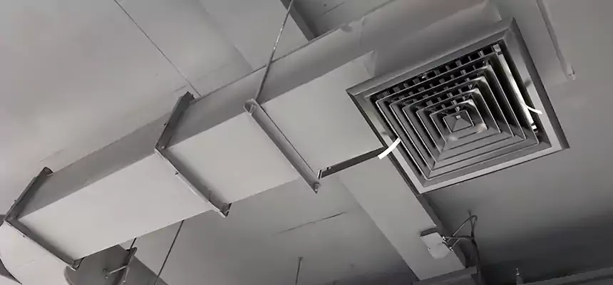 Restorative Allergy Relief Vent Cleaning – Coil, Blower & Housing Detail in Kokomo