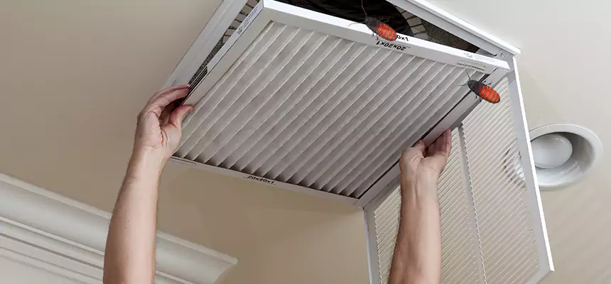 Our Insect Removal from Air Ducts Services in Kokomo, IN