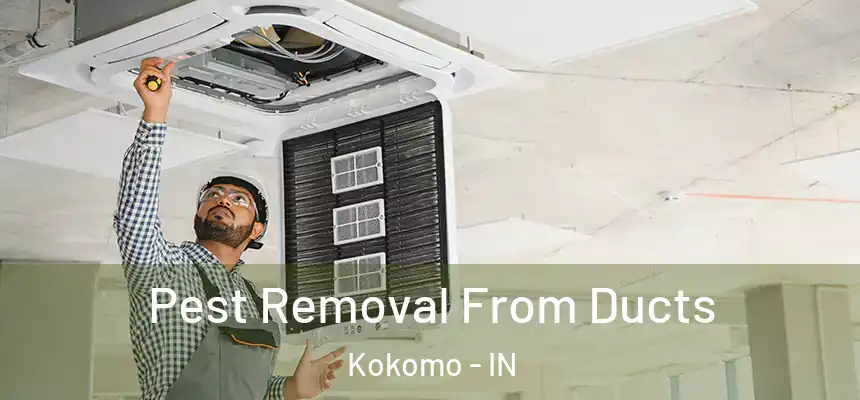  Pest Removal From Ducts Kokomo - IN
