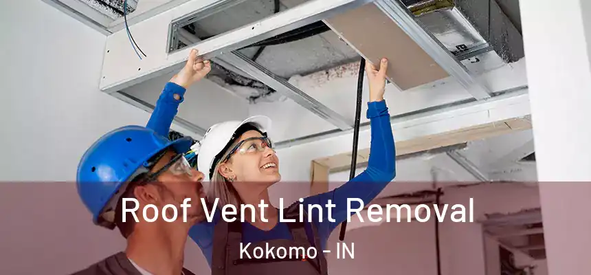 Roof Vent Lint Removal Kokomo - IN
