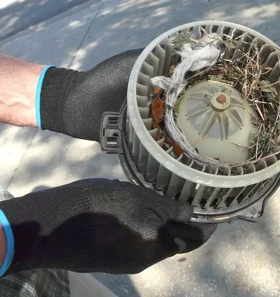 About Air Duct Mice Removal in Kokomo, IN