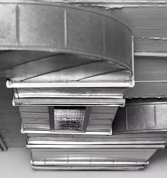 Professional Air Duct Pest Removal in Kokomo, IN