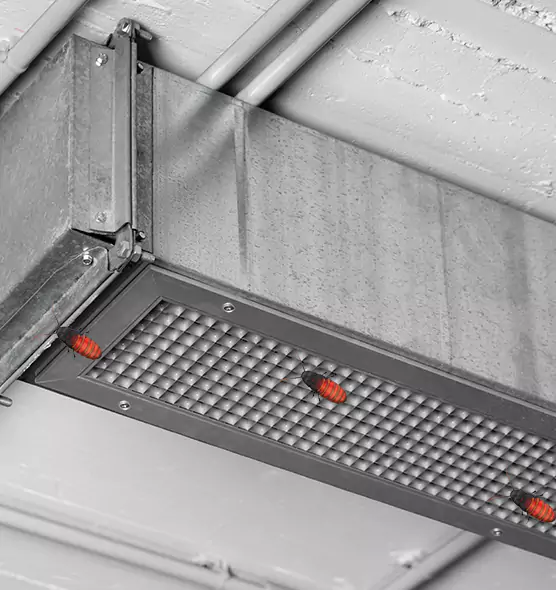 Affordable Insect Removal from Air Ducts in Kokomo, IN