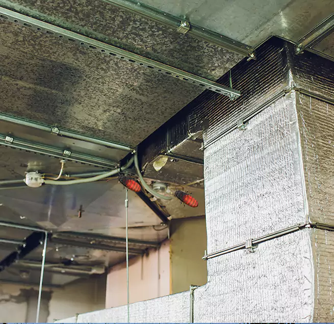 Why Homeowners & Businesses Trust Us in Kokomo, IN?