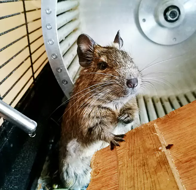 Why Homeowners & Businesses Trust Us Kokomo, IN