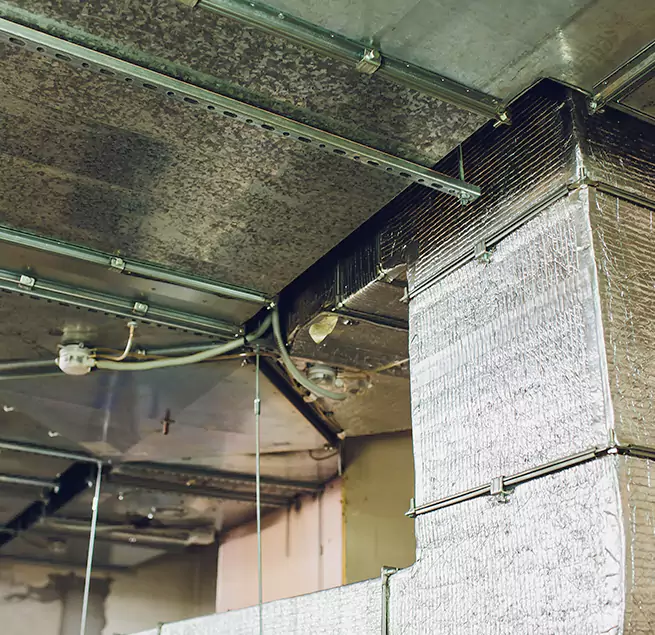 Why Homeowners & Businesses Trust Us in Kokomo, IN?